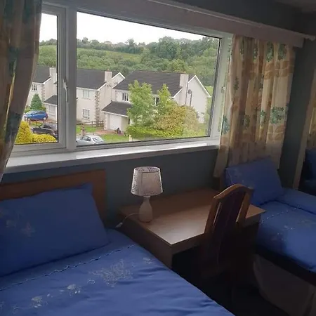 Farnham House Panzió Cavan